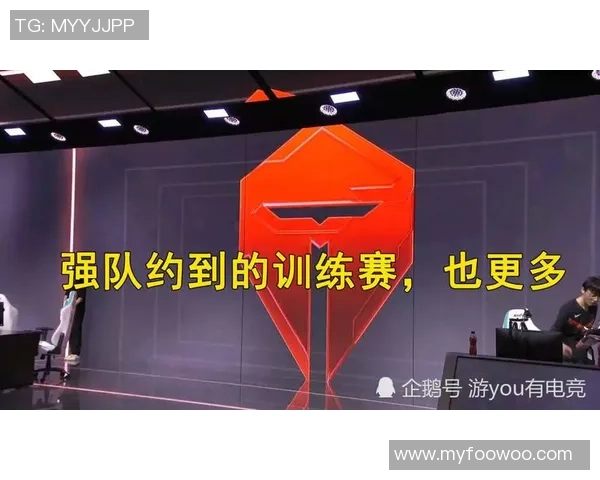 RNG战队的荣耀与挑战：从奋斗到巅峰的精彩历程回顾