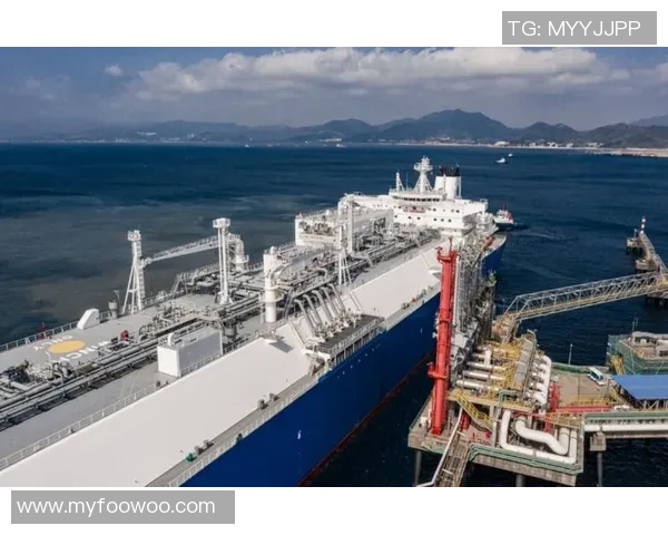 城市赛分析：LNG在关键时刻的心理素质与表现评估