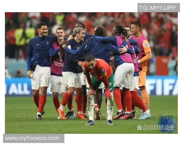 冈山绿队与东京球队的较量遭遇意外中断引发热议